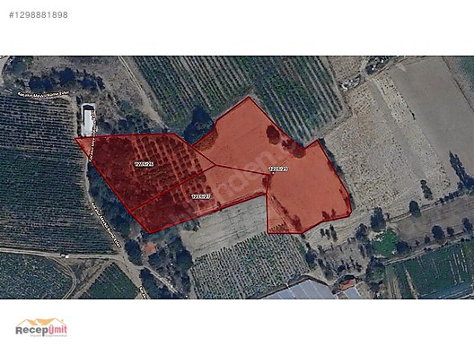 RECEP ÜMİT'TEN SARICAKAYA LACİN'DE 3 ADET 9300 M2 1.SINIF TARLA.